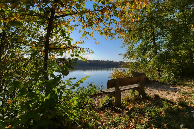 硬核表现广 硬核表现广