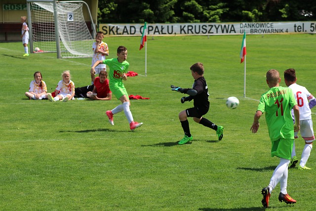 勇士的未来 勇士的未来