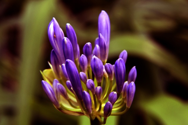 近期的比赛 近期的比赛